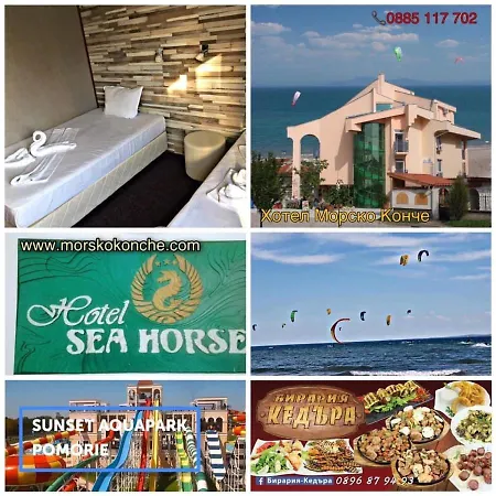 Sea Horse Отель 3*
