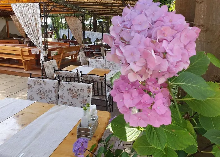 Hotel Sea Horse Burgas City