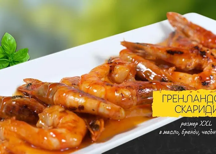 Hotel Sea Horse Burgas City