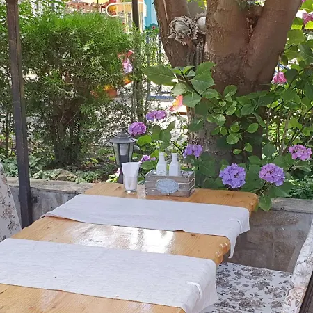 Sea Horse Burgas City