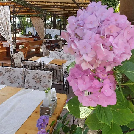 Hotel Sea Horse Burgas City