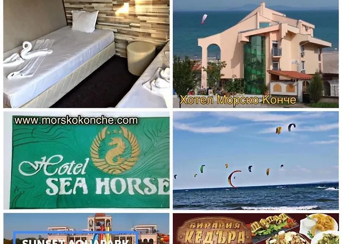 Sea Horse Hotell 3*